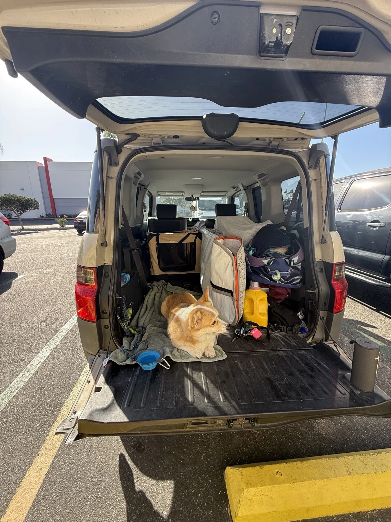 2005 Honda Element car camping with surfboards and beach gear