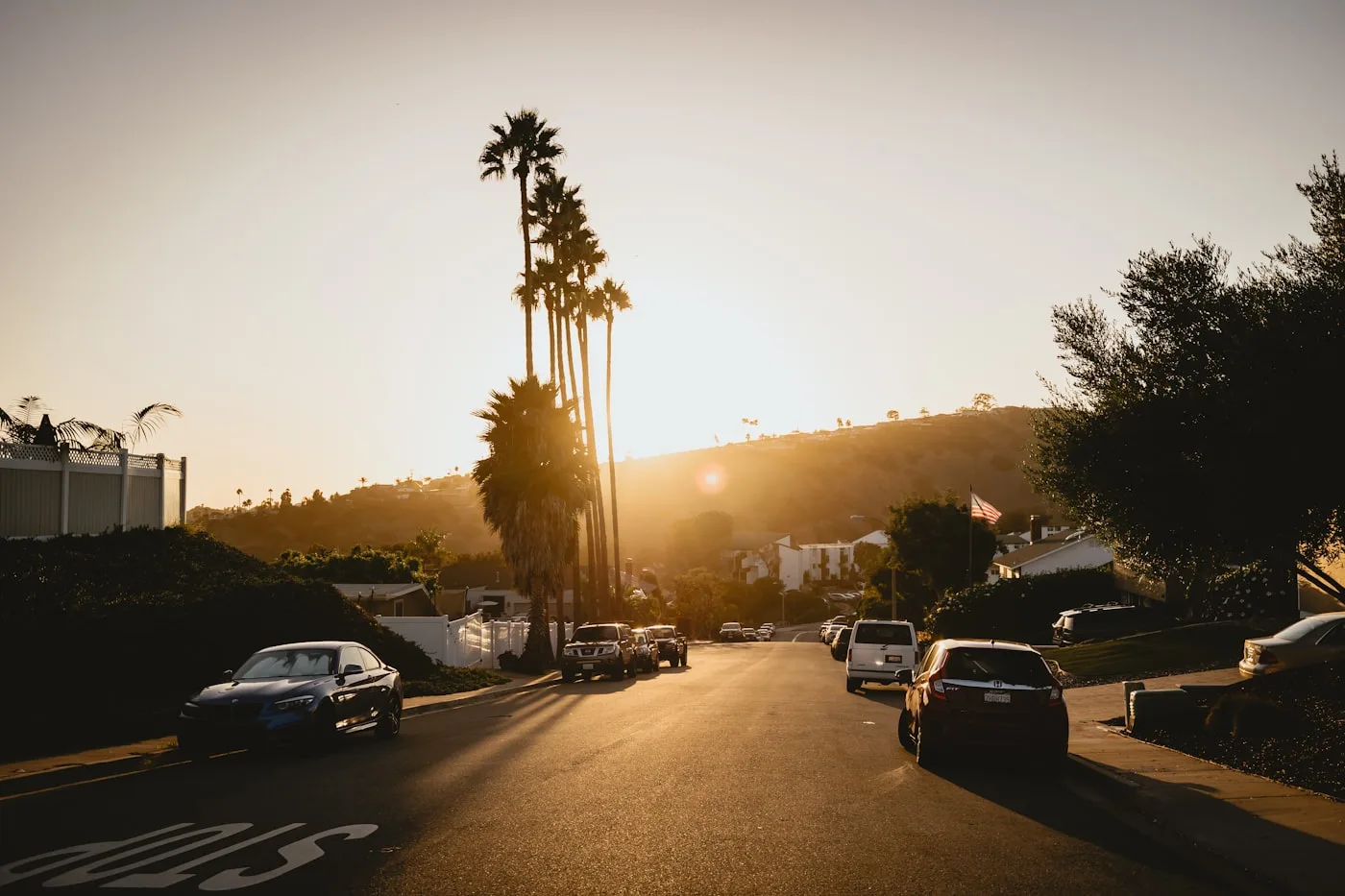 El Paseo shopping boulevard in Palm Desert California lined with shops and palm trees