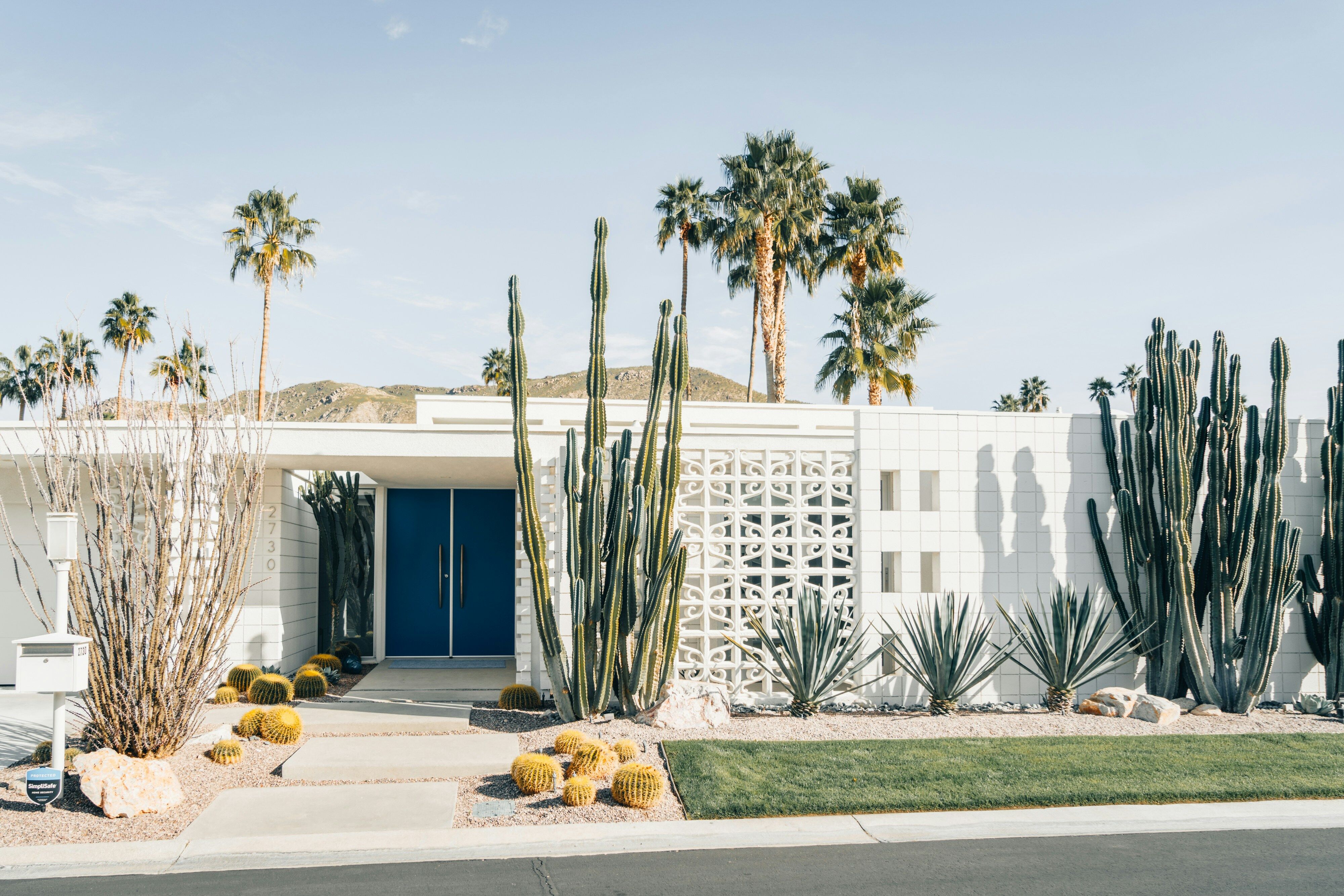 Teal blue painted door with mature cacti flanking the entrance on a Palm Springs street