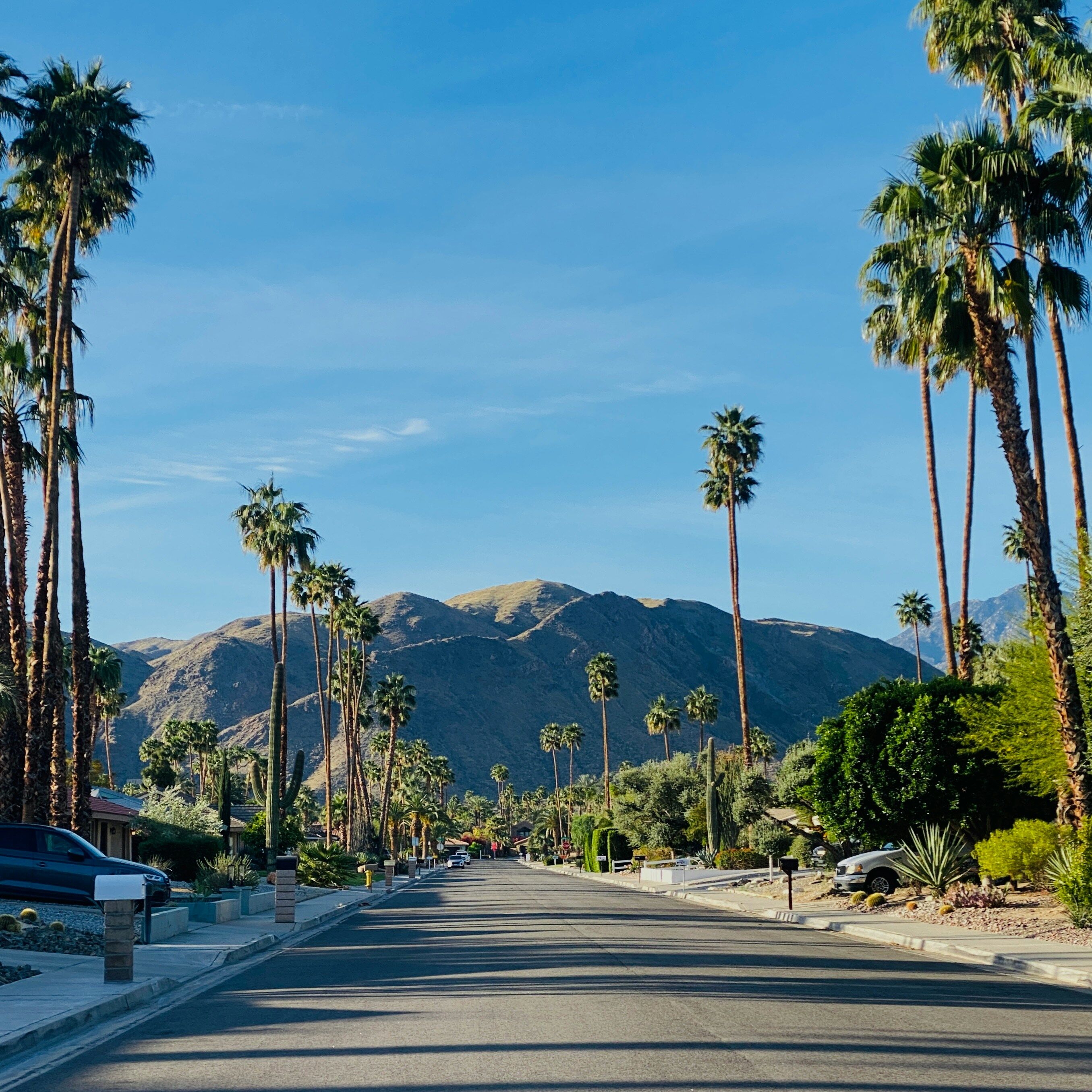 Palm tree-lined boulevard with the San Jacinto Mountains rising behind it in Palm Springs, California