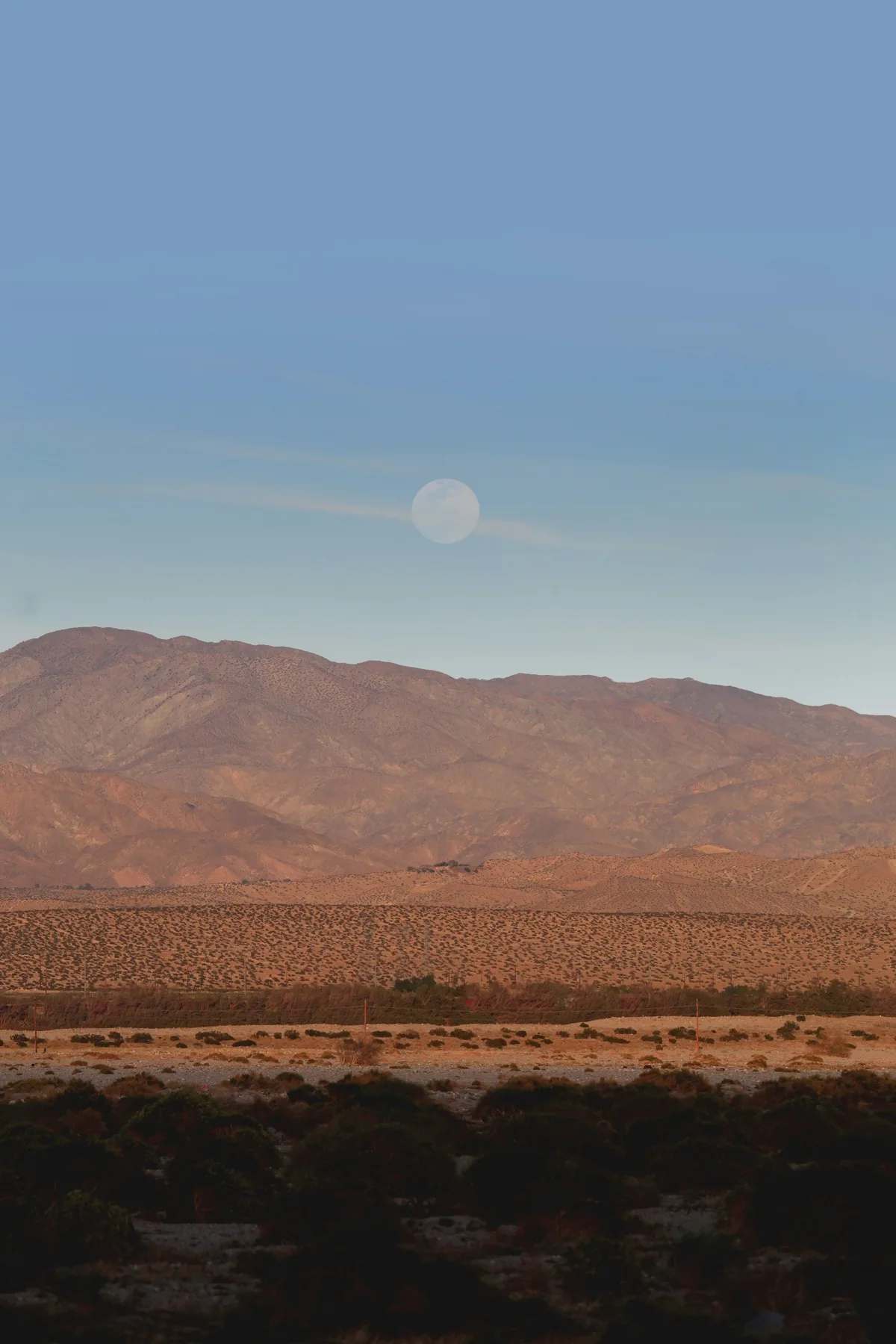 Desert moonrise over Palm Springs with palm trees silhouetted against a pink and blue sky