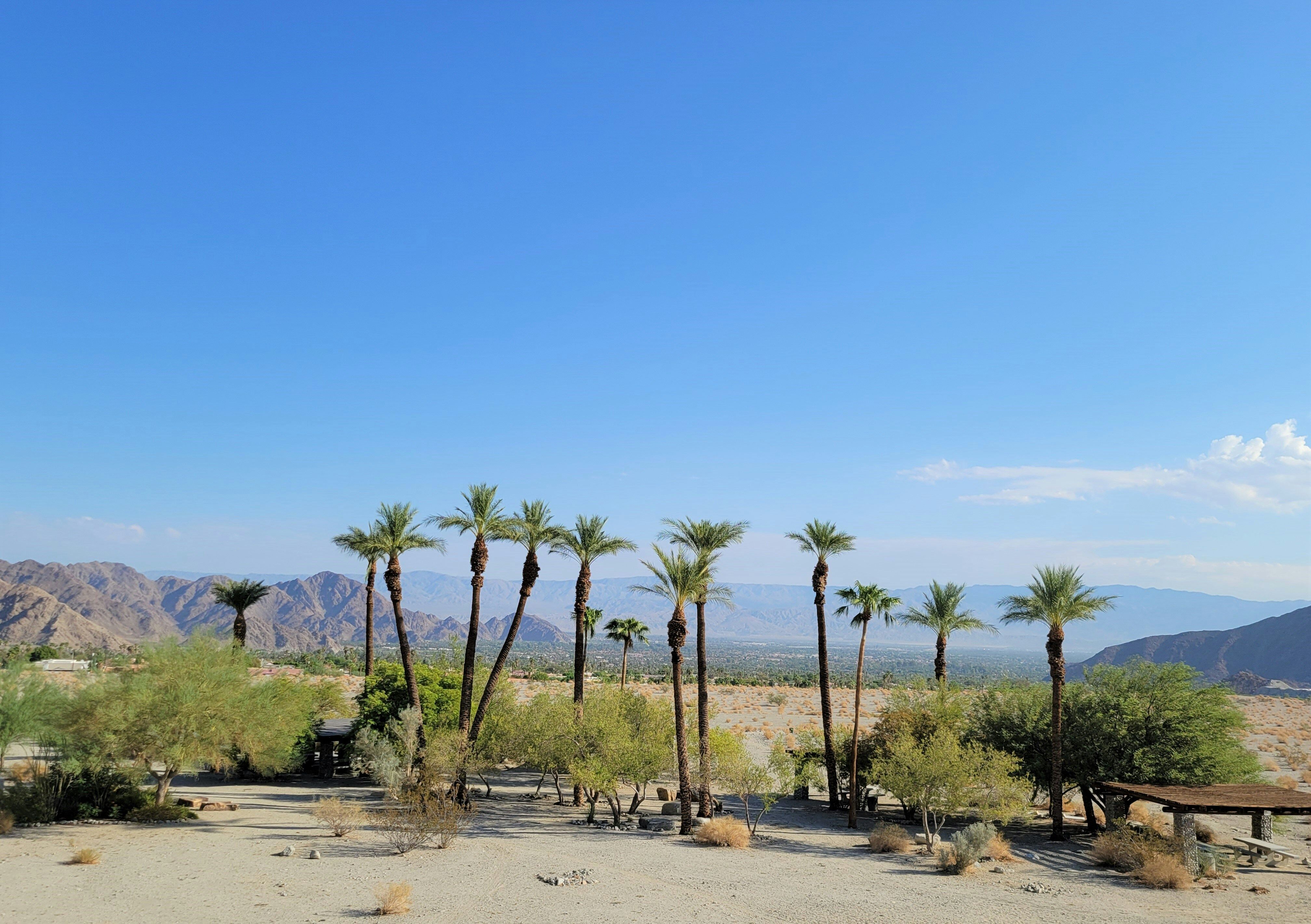 Wide desert valley view from above with palm trees and mountains surrounding the Coachella Valley