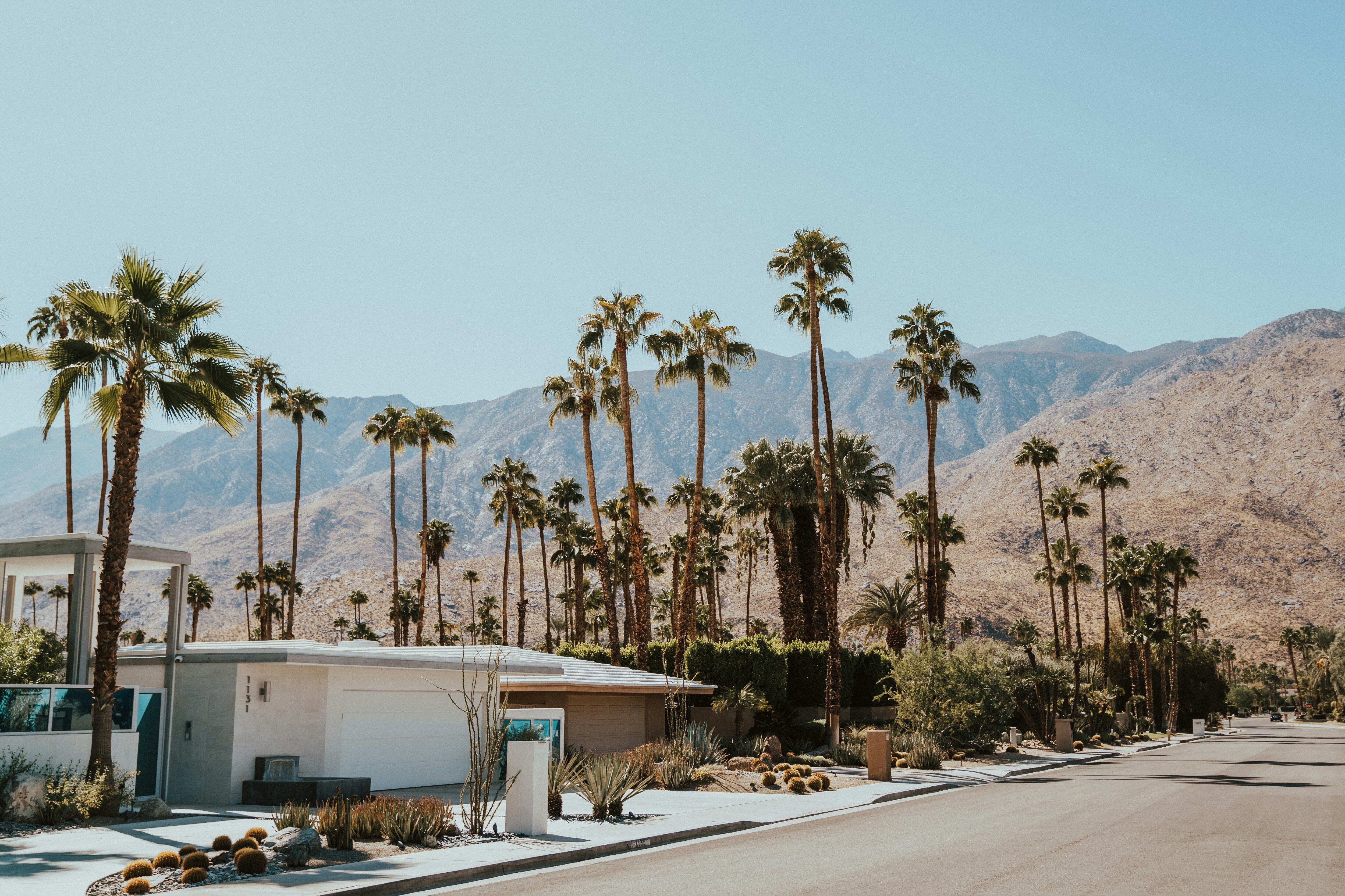 Mid-century modern homes on a quiet Palm Springs street with tall palm trees and mountains