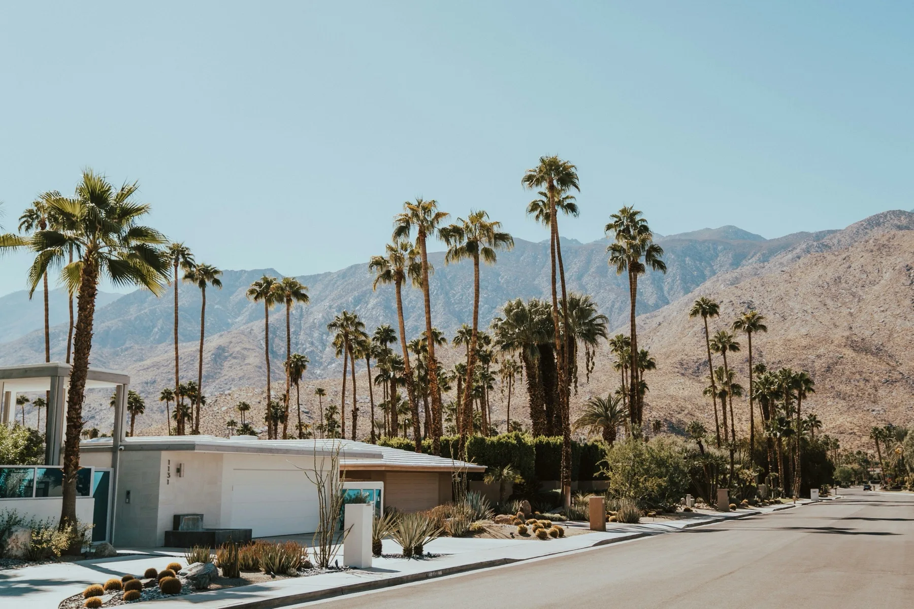 Mid-century modern neighborhood street in the Coachella Valley with palm trees and mountain backdrop
