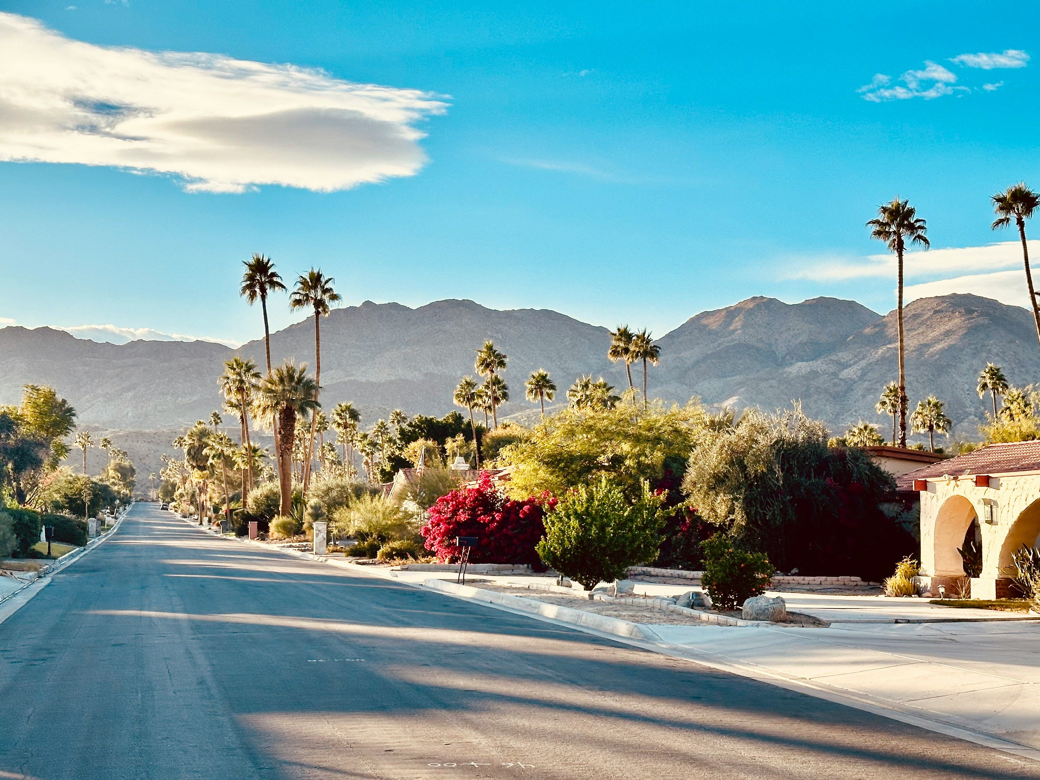 Palm tree-lined street in Palm Springs CA with red bougainvillea and San Jacinto mountains