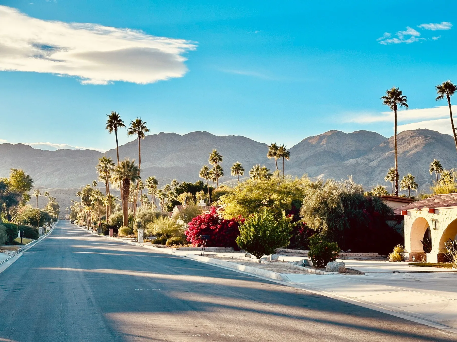 Palm Springs street with bougainvillea blooms, the evening atmosphere around Village Fest on Palm Canyon Drive