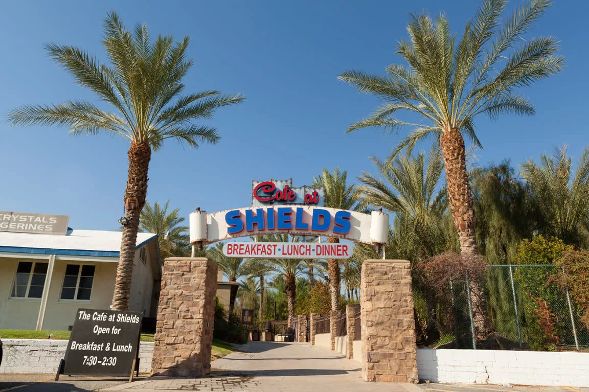 Shields Date Garden sign and palm trees in Indio California